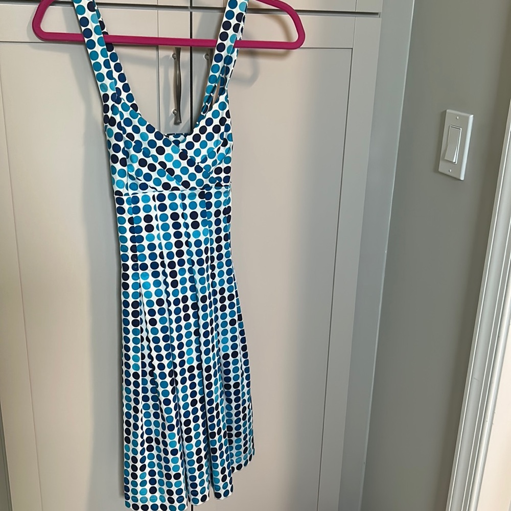 Calvin Klein Blue White Polka Dot Pleated Fit and Flare Dress Size 2 Rockabilly